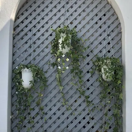 Odysseas & Apartment Naousa (Paros)